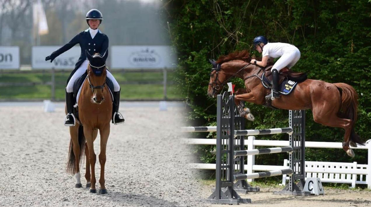 Therese Viklund med SWB-stoet Sella. Foto: Privat