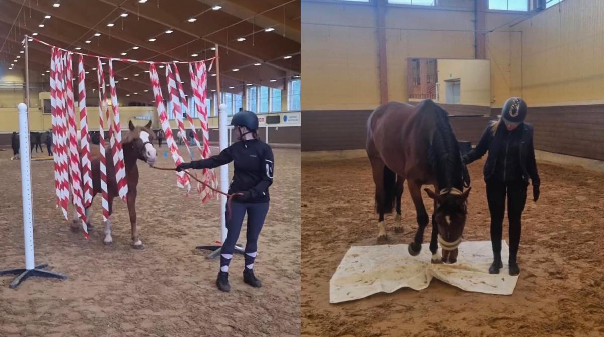 Utbildningskorten har bland annat implementerats i föreningens hästhanteringsbana. Foto: Privat