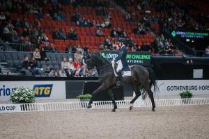 Siri Ehrnrooth och Moegelbjergs Romeo. Foto: Ida Lindemann 