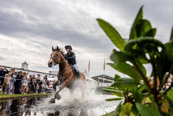 Foto: Petter Arvidsson/Bildbyrån