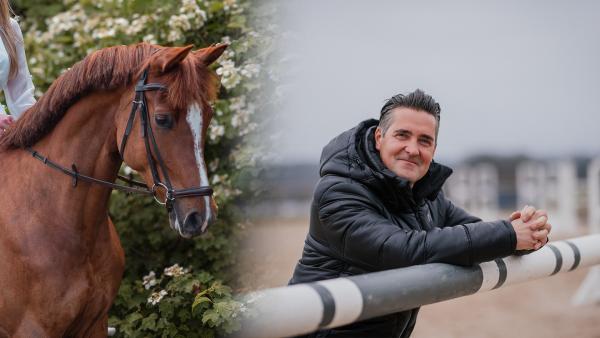 Det blir CC Fly High som Niclas Haking startar under Falsterbo Horse Show. Foto: Privat och Ida Lindemann