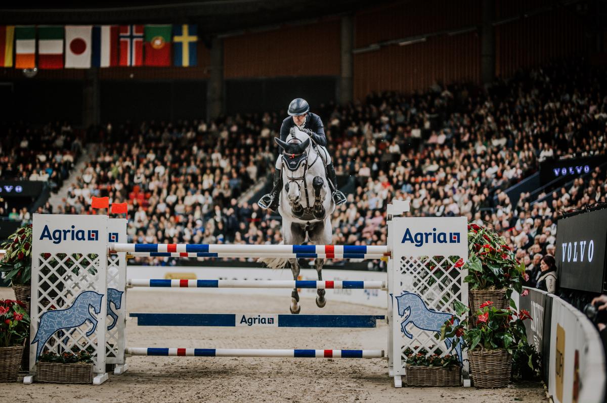 Thomas Ryan och Million's Grey. Foto: Ida Lindemann