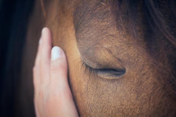 Arkivfoto: Adobe stock