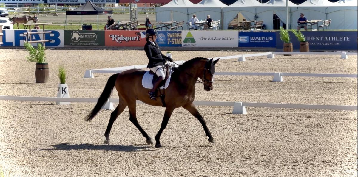 Foto: MK Equestrian 
