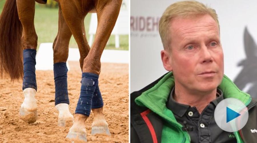 Foto: Adobe Stock och Skärmdump/Ridehesten