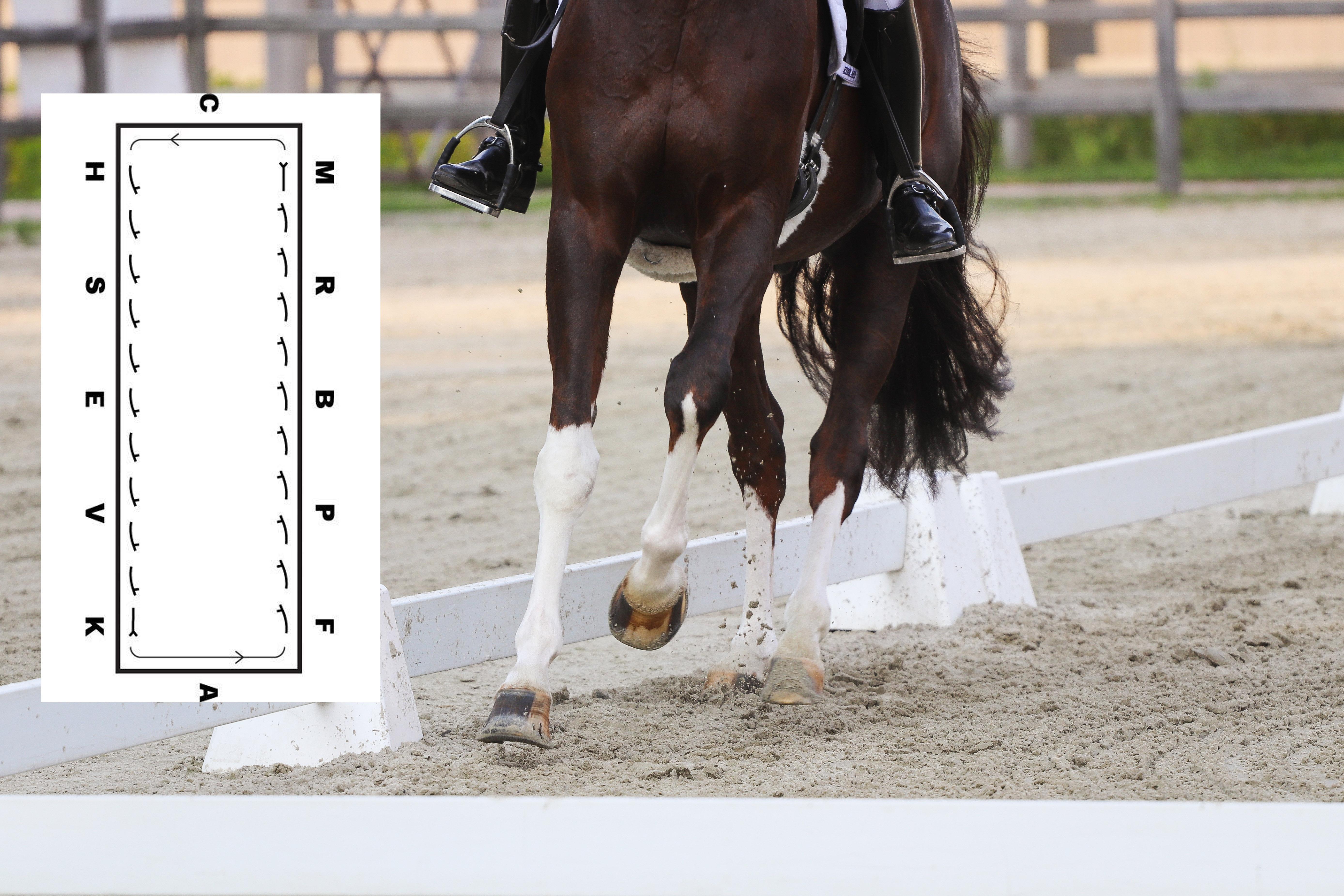 Bogen in – för bättre galopp