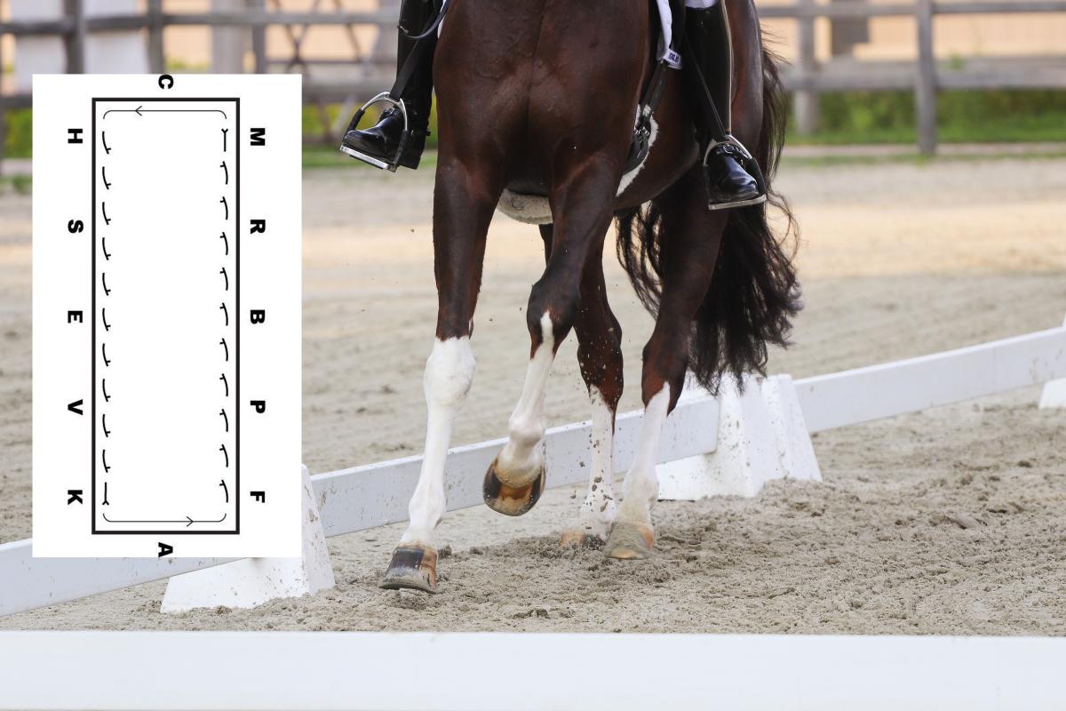Bogen in – för bättre galopp
