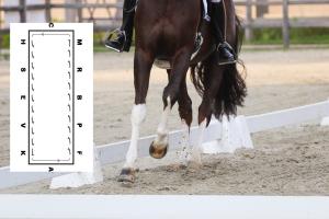 Bogen in – för bättre galopp