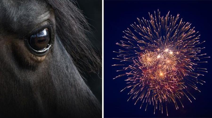 Foto: Adobe Stock