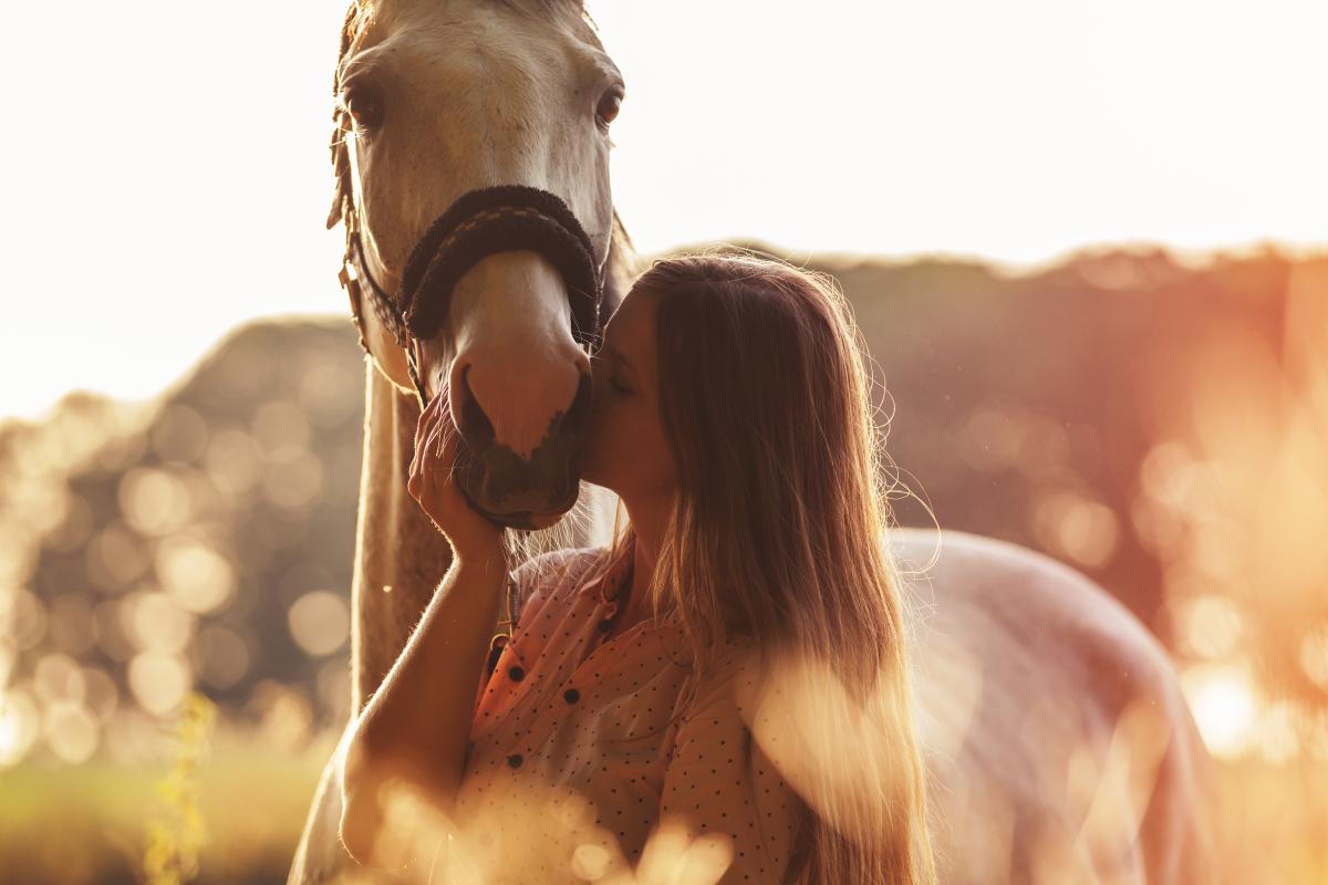 Arkivfoto: Adobe Stock