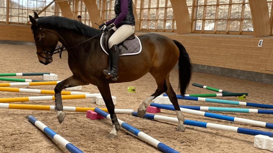 Foto: Annika Grundberg