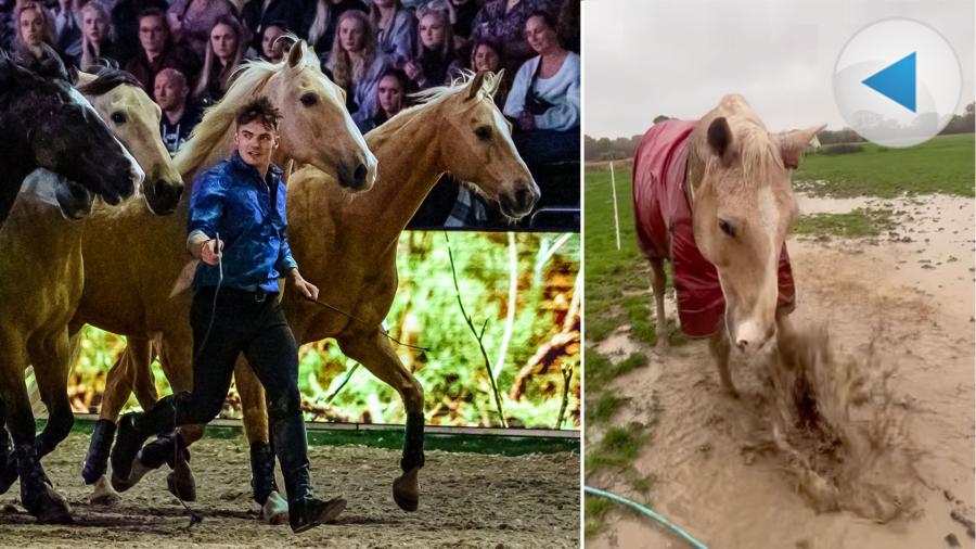 Ben Atkinson reser och gör shower med flera hästar – väl hemma passar isabellen Barbie på. Han badar både sig och kompisen i en lersjö.