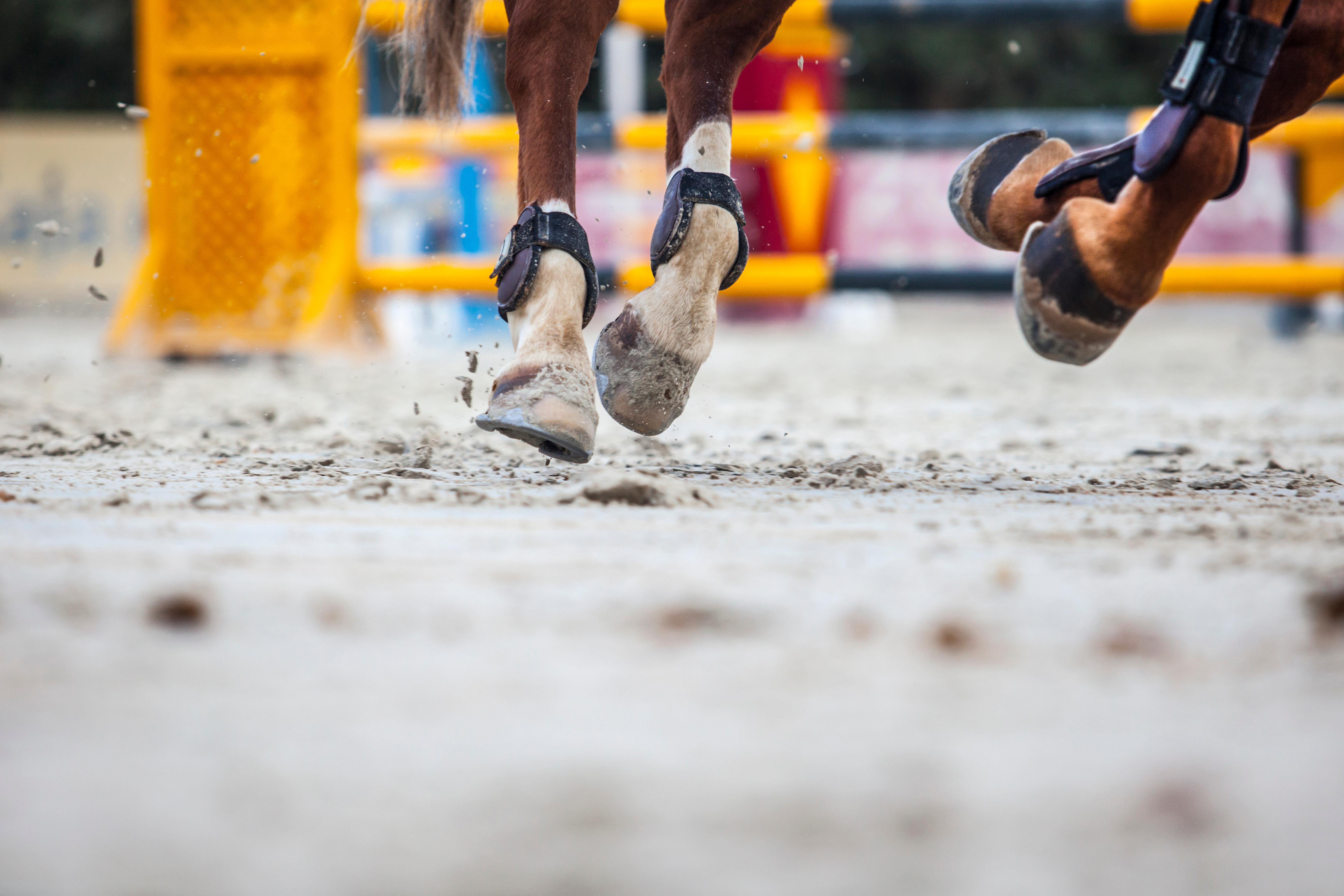Arkivfoto: Adobe Stock