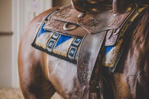 Arkivfoto: Adobe Stock