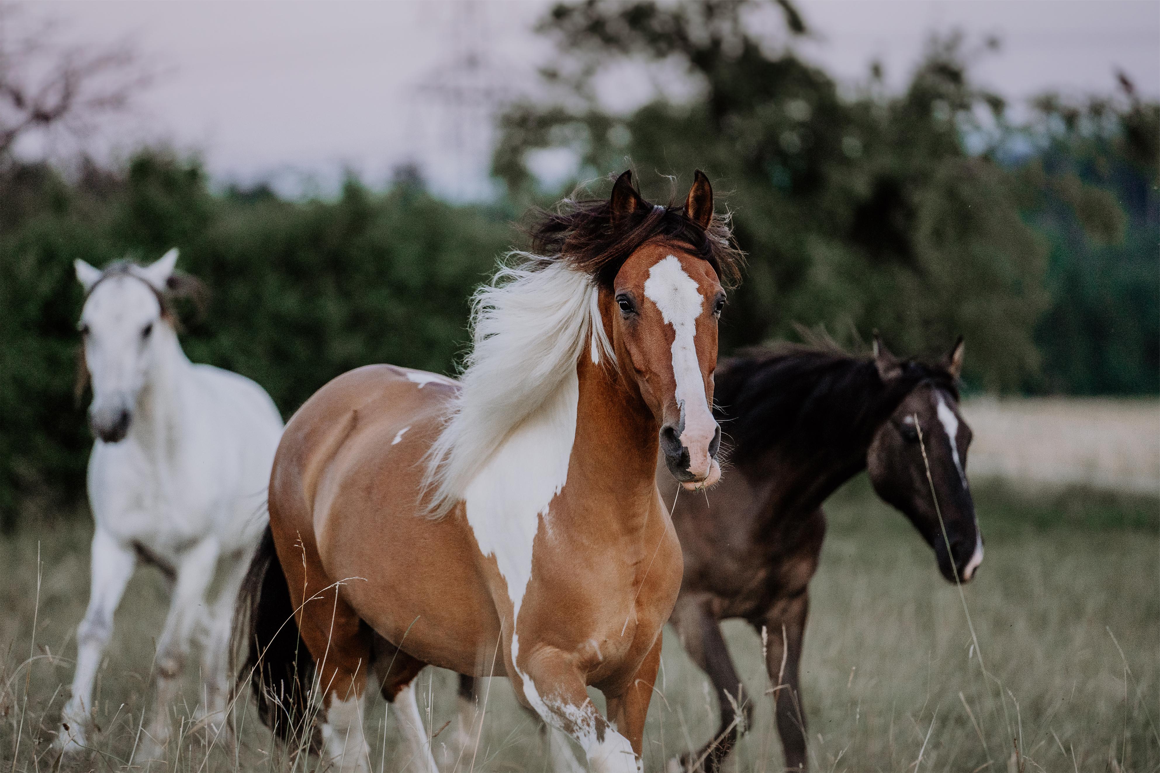 Genrebild: Adobe stock