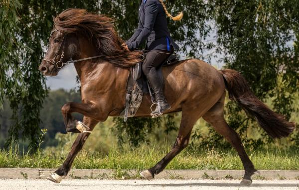 Arkivfoto: Adobe Stock