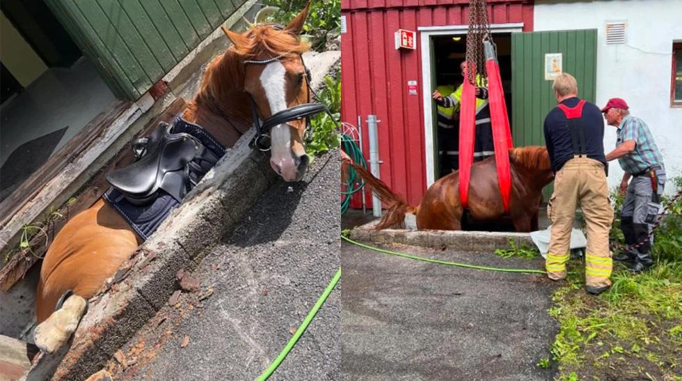 Grenland Brann og redning deltog i räddningsinsatsen, där hästen till slut hissades upp med hjälp av en kranbil. Foto: Privat