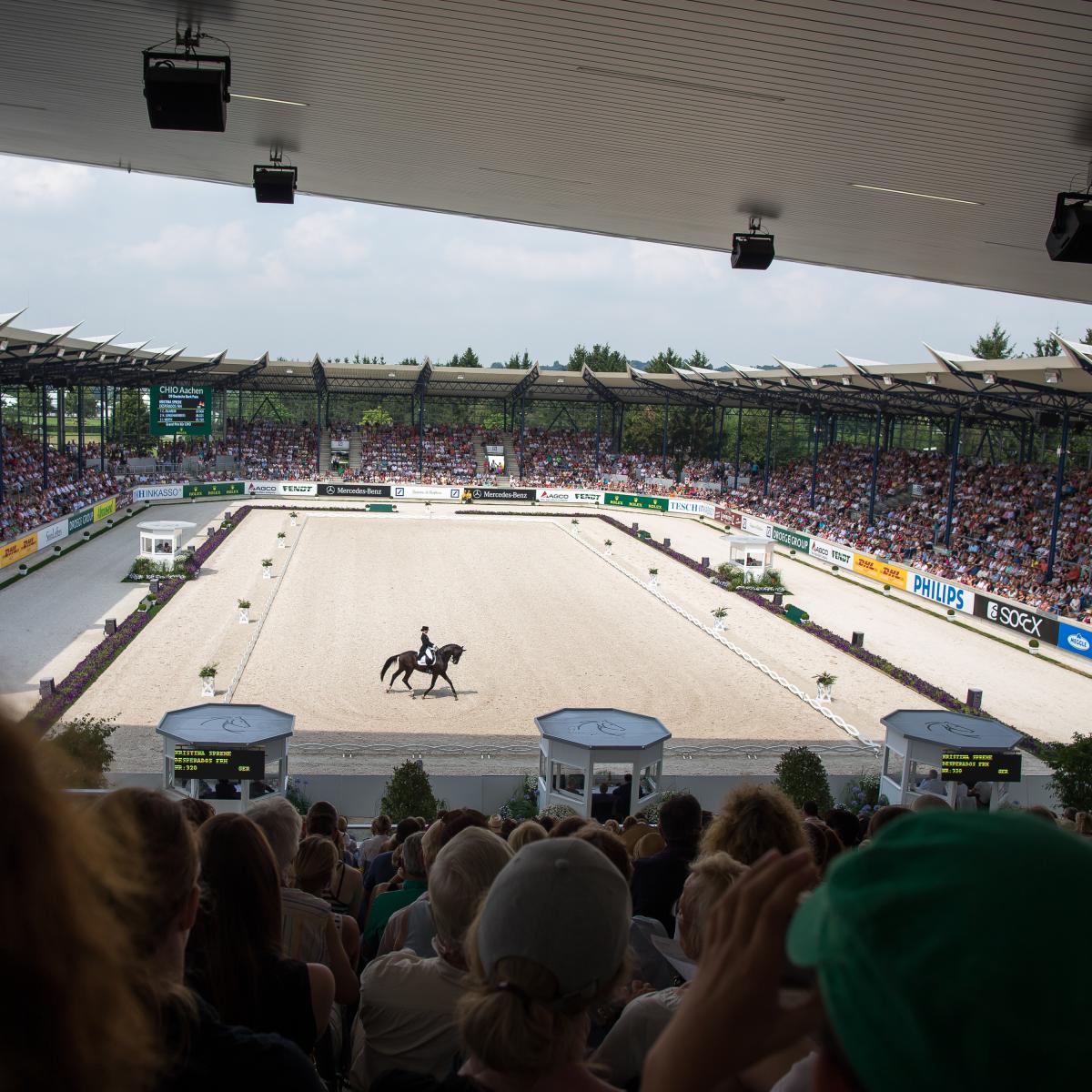 Foto: Tomas Holcbecher