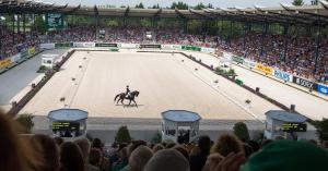 Foto: Tomas Holcbecher