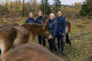 Förra årets vinnare: från vänster Alma Kennemar, Nina Nyqvist, Gunilla Stånggren Karlsson och Jeanette Kindeland. Pressfoto: Susanne Walström