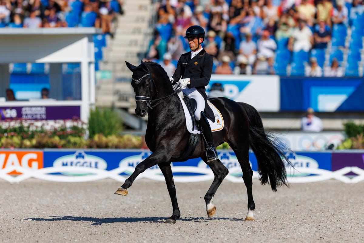 Justin Verboomen och Zonic Plus är ett av ekipagen som jagar medalj i Grand Prix Specialen. Foto: Tomas Holcbecher