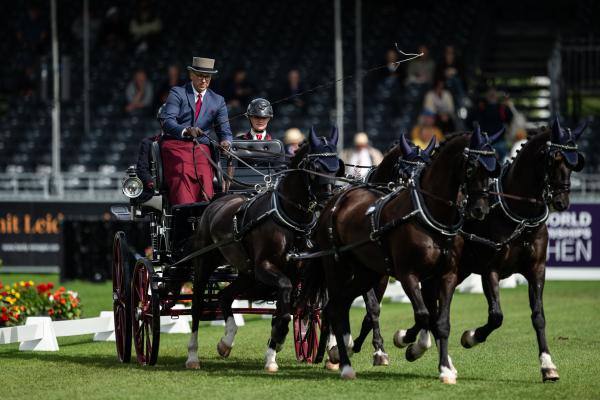 Fredrik Persson under det inledande dressyrmomentet vid VM i Aachen. Foto: Emma Wallskog/Bildbyrån