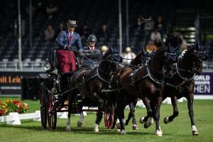 Fredrik Persson under det inledande dressyrmomentet vid VM i Aachen. Foto: Emma Wallskog/Bildbyrån