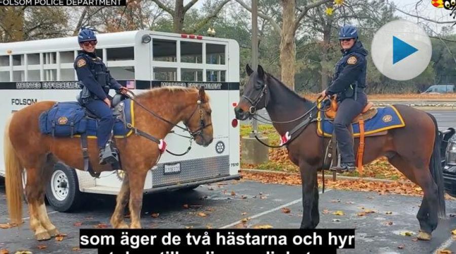 Poliserna jagade fatt i tjuvarna till häst