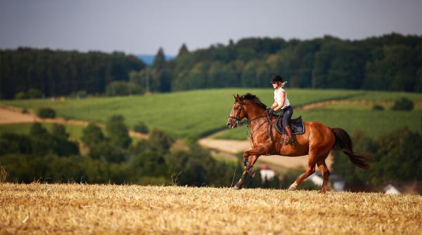 Arkivfoto: Adobe Stock