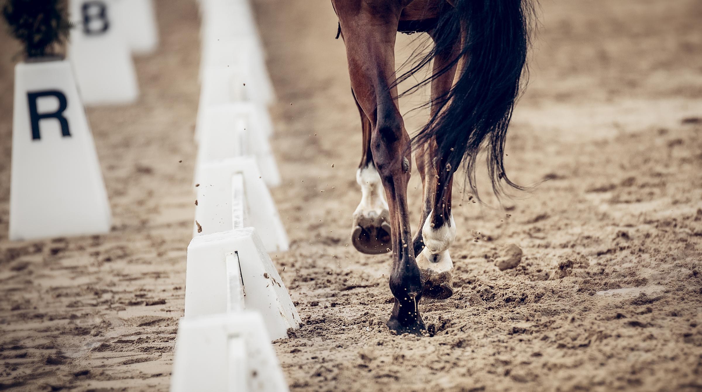 Arkivfoto: Adobe Stock