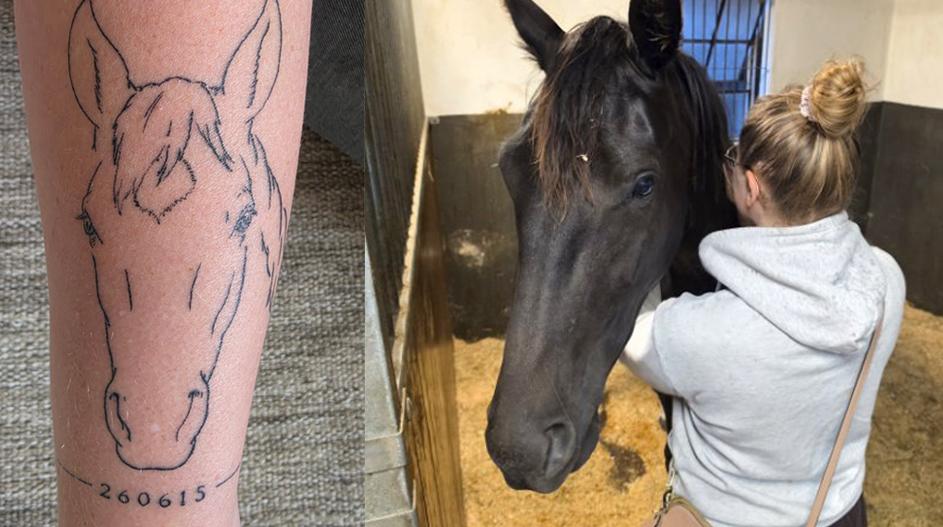 På Alexandras arm finns hjärtehästen Topney intatuerad. Egna uppfödningen Julius är förhoppningsvis hennes framtida stjärna – på bilden precis hemkommen från sjukhuset efter att nackkragen tagits av efter drygt tio veckor. Foto: Privat
