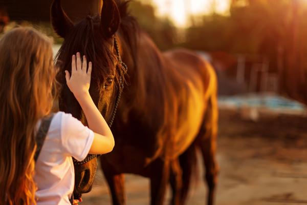 Foto: Adobe stock