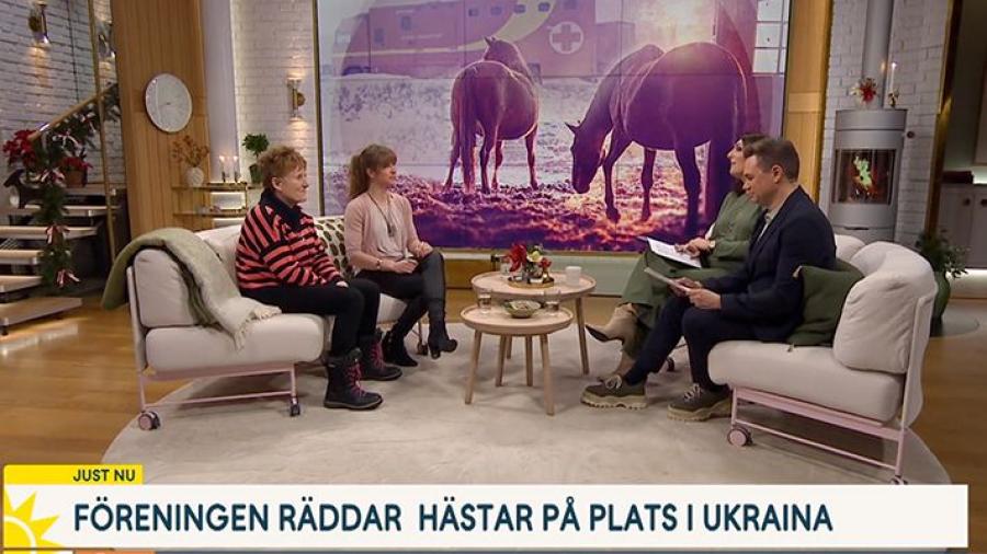 Föreningen som hjälper hästar i Ukraina uppmärksammade av TV4
