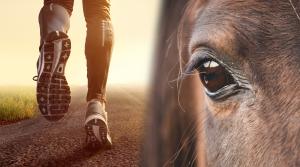 Arkivfoto: Adobe Stock