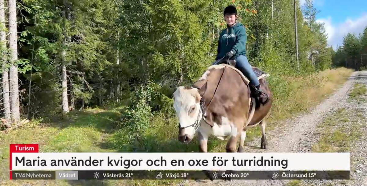 Skärmavbild från TV4