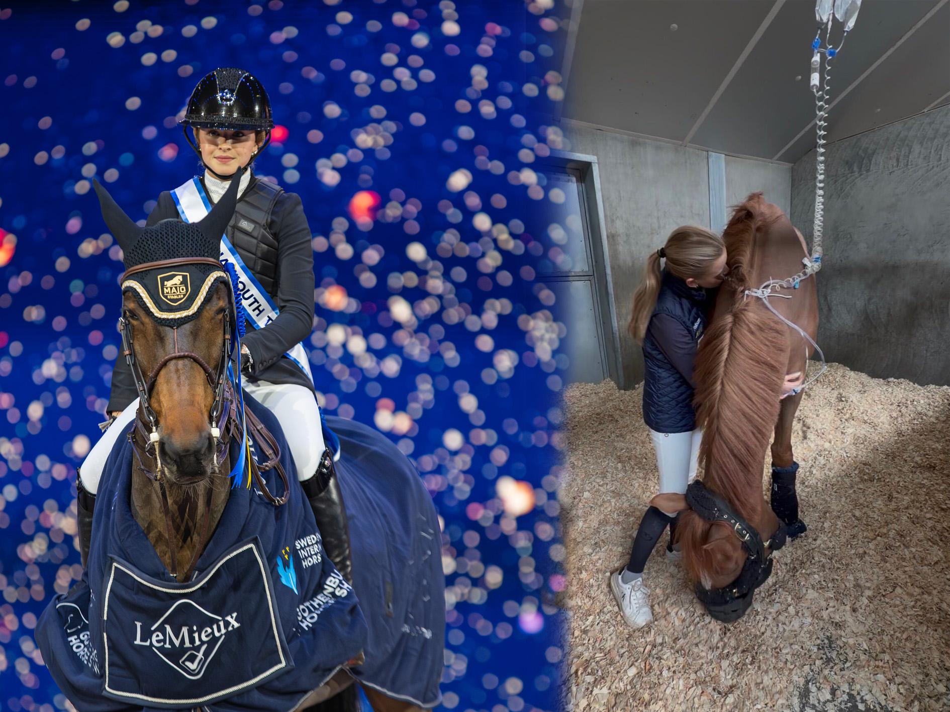 Tävlingshelgen i Nederländerna började med akutoperation för Mathilda Hanssons häst Luidams Warrior. Foto: Jennie Börs/Privat