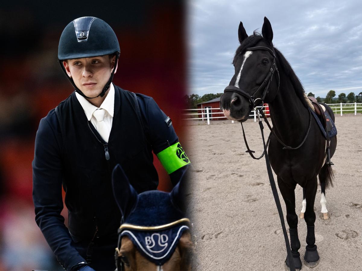 Mr Vain har flyttat till Viktor Edvinsson som blir hans nya tävlingspartner. Foto: Bildbyrån/Mathias Bergeld/Privat