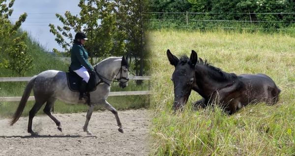 Foto: Privat