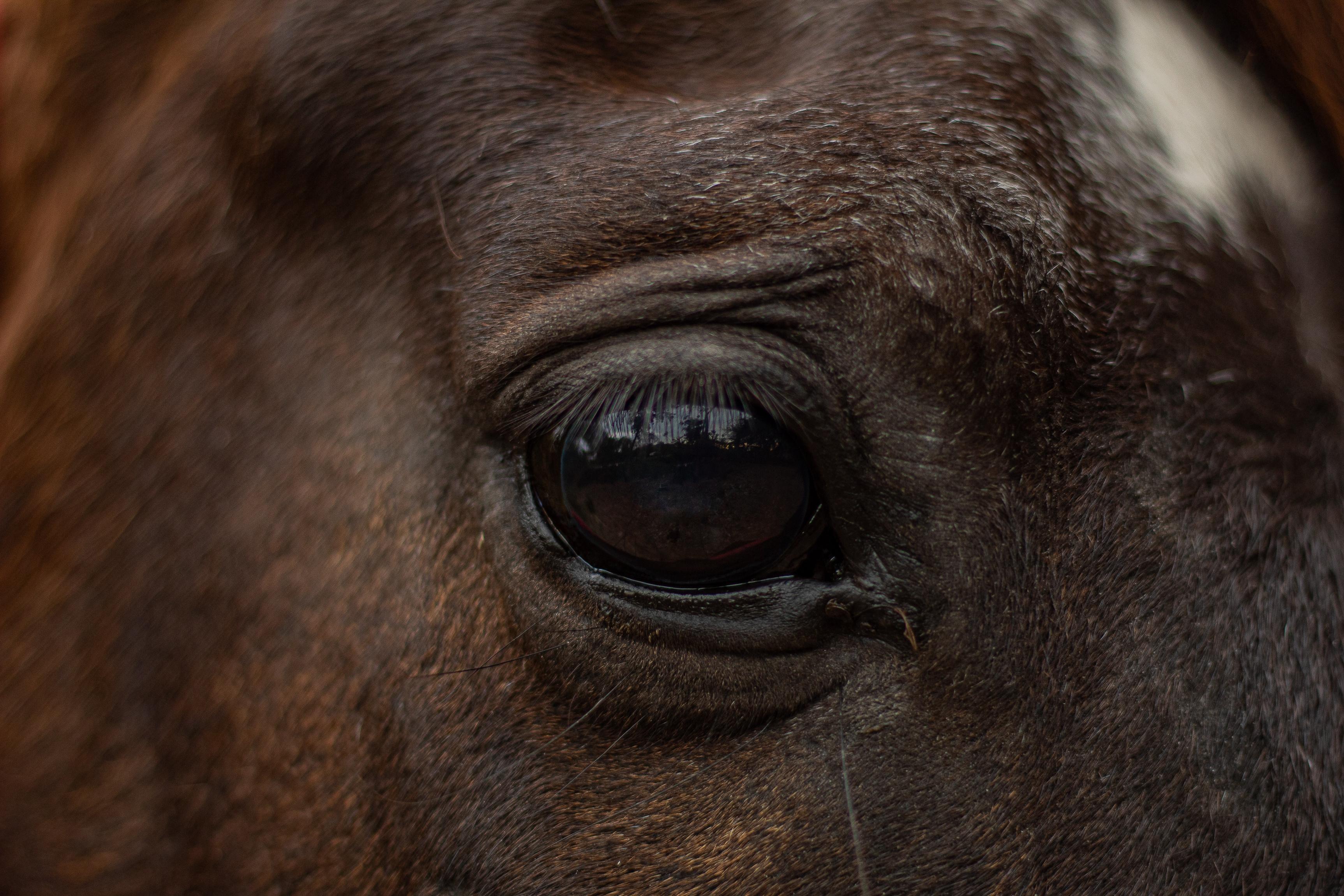 Genrebild. Foto: Adobe stock