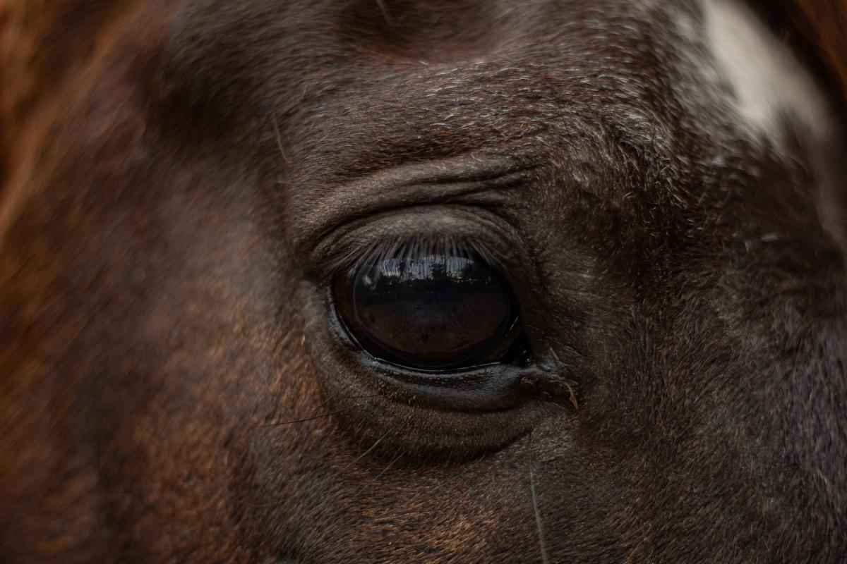 Genrebild. Foto: Adobe stock