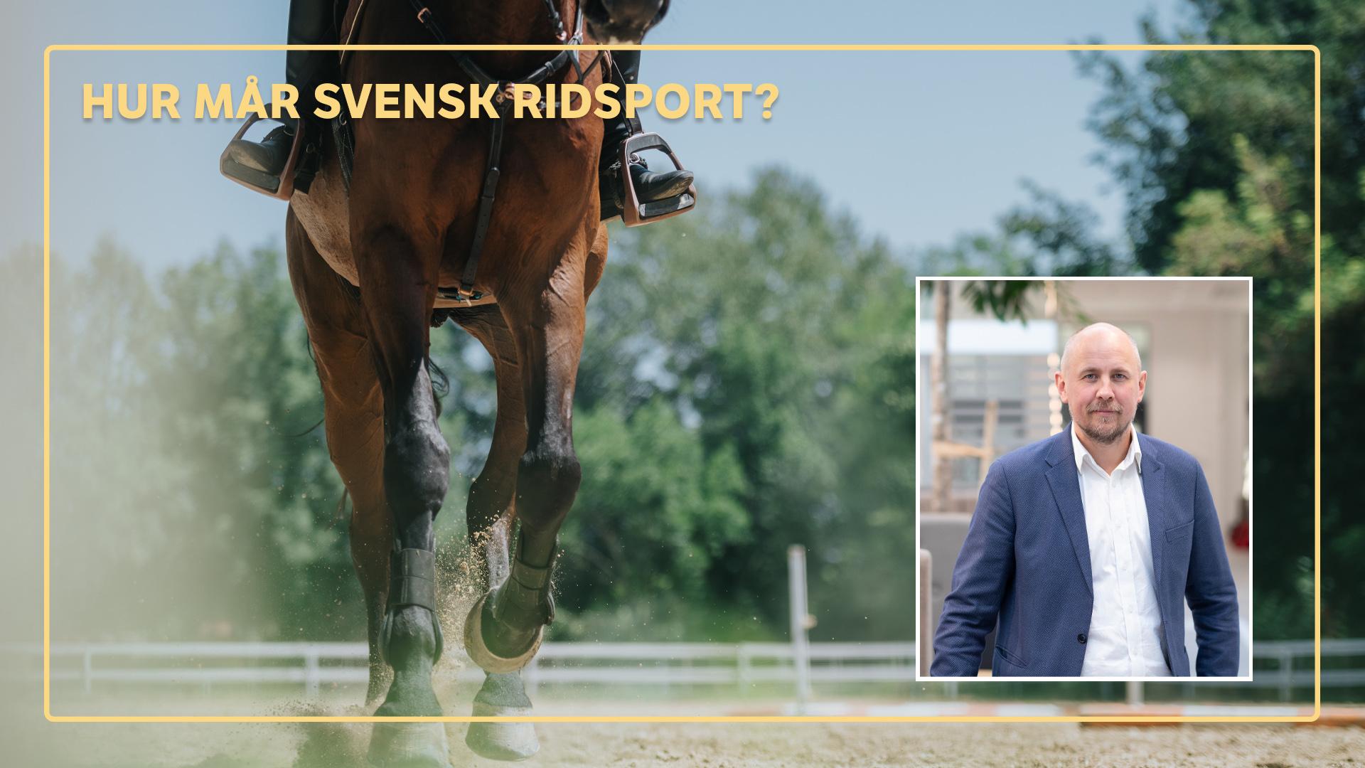 Foto: Adobe Stock & Högskolan i Halmstad (profilbild)