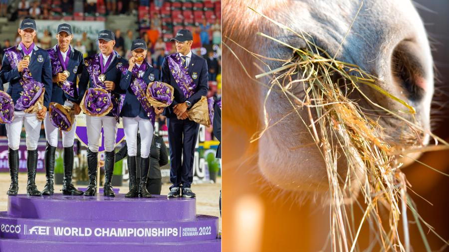5 snackisar från ridsportåret 2022