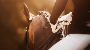 Arkivfoto: Adobe Stock