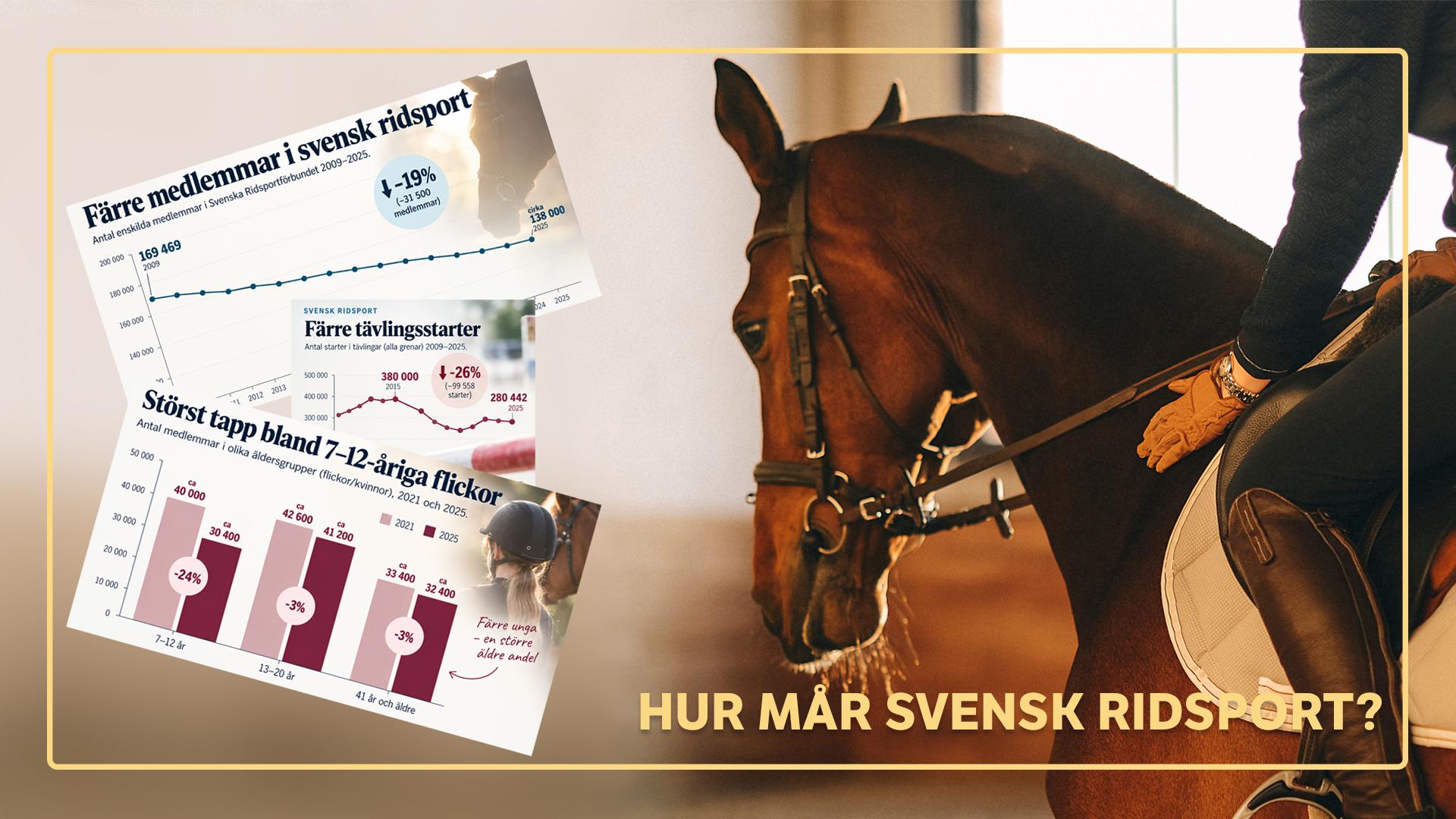Svensk ridsport har tappat 31 500 medlemmar på kort tid