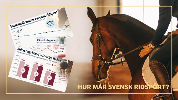 Svensk ridsport har tappat 31 500 medlemmar på kort tid