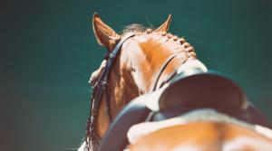 Arkivfoto: Adobe Stock