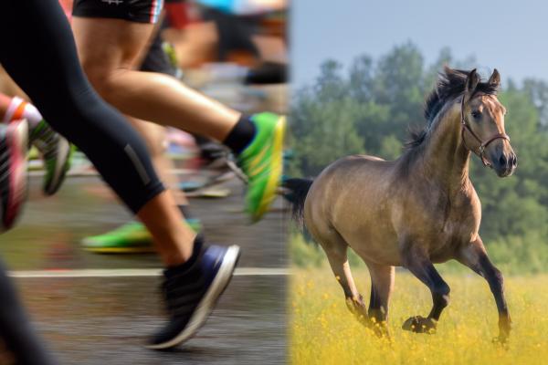 Foto: Adobe Stock 