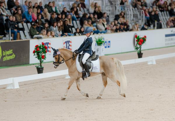Foto: Jönköping horse show