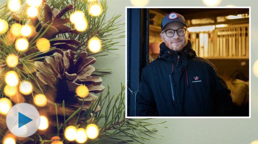 Juldagsmorgon i ridskolans stall