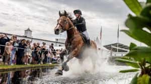 Arkivfoto: Petter Arvidsson/Bildbyrån